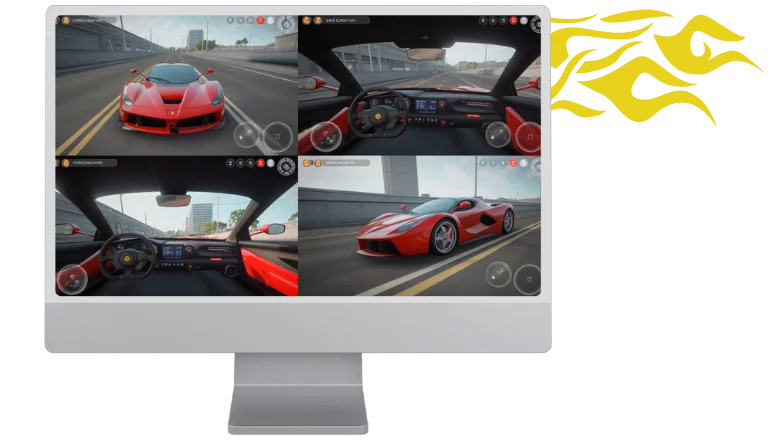 Multiple Camera Views